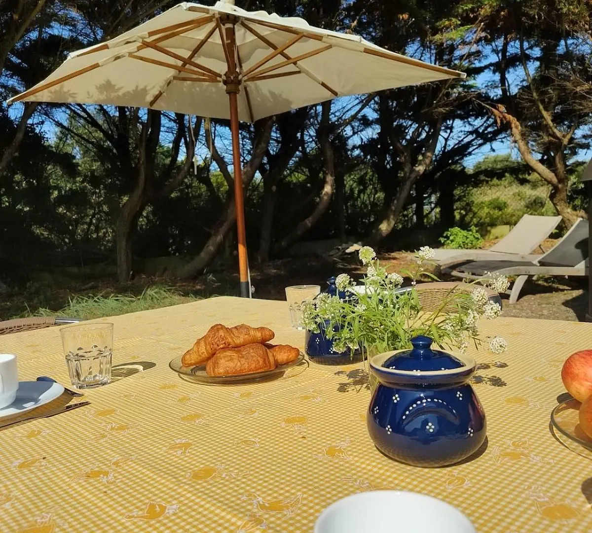 Villa Garenne Bord De Mer - Plage 1 Minute A Pied Quiberon