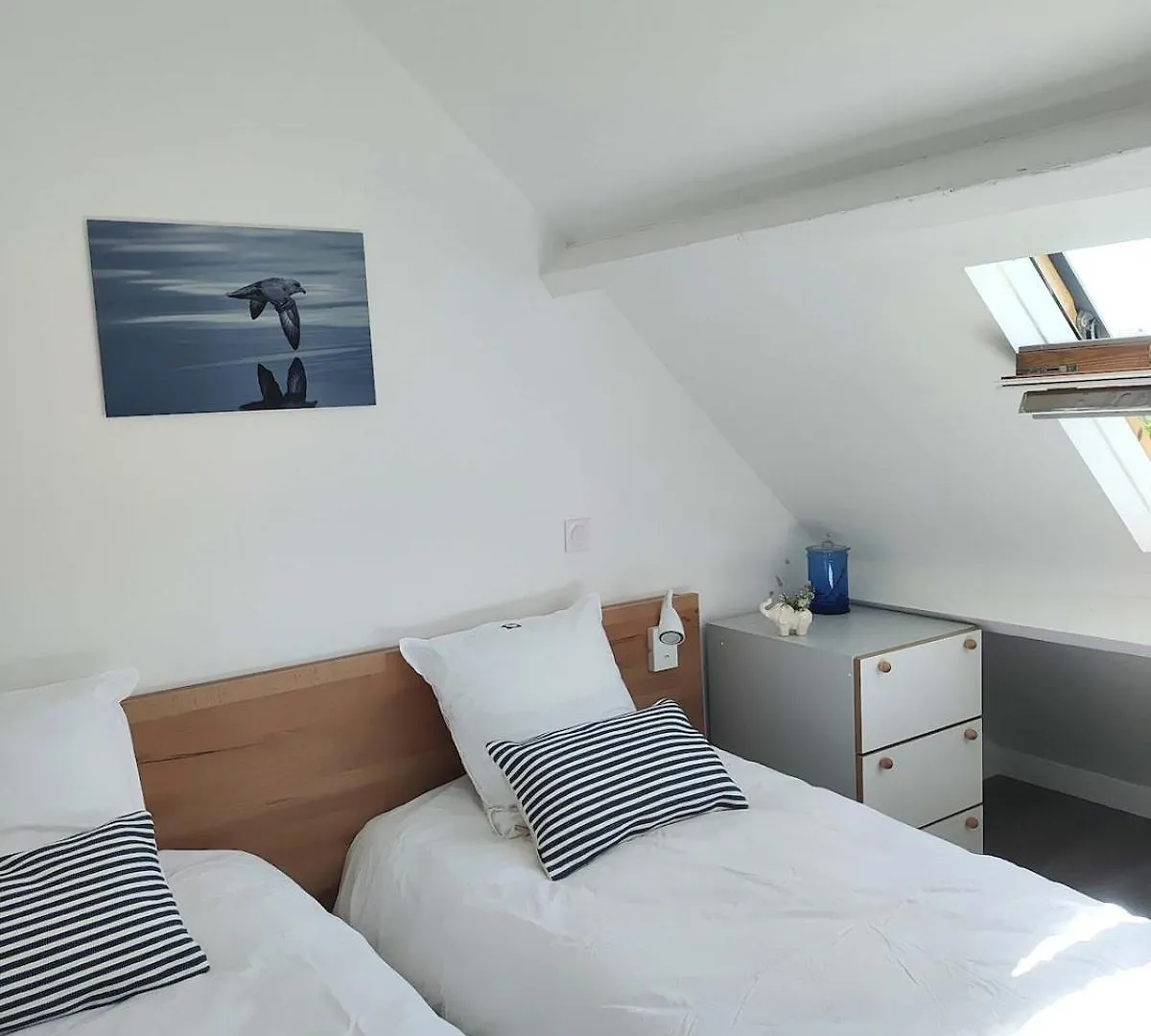 Villa Garenne Bord De Mer - Plage 1 Minute A Pied Quiberon