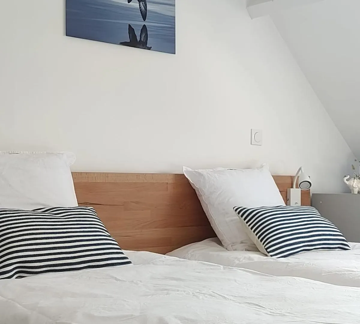 Villa Garenne Bord De Mer - Plage 1 Minute A Pied Киберон 0*,